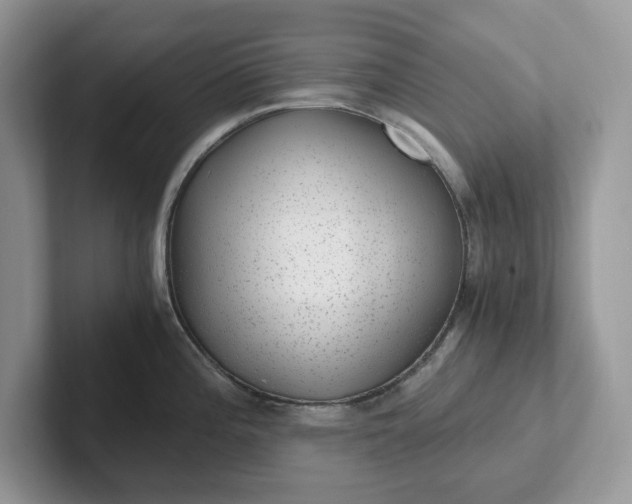 X0000101441196200807211205