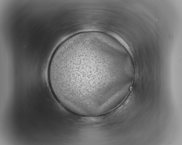 X0000101441197200807211205