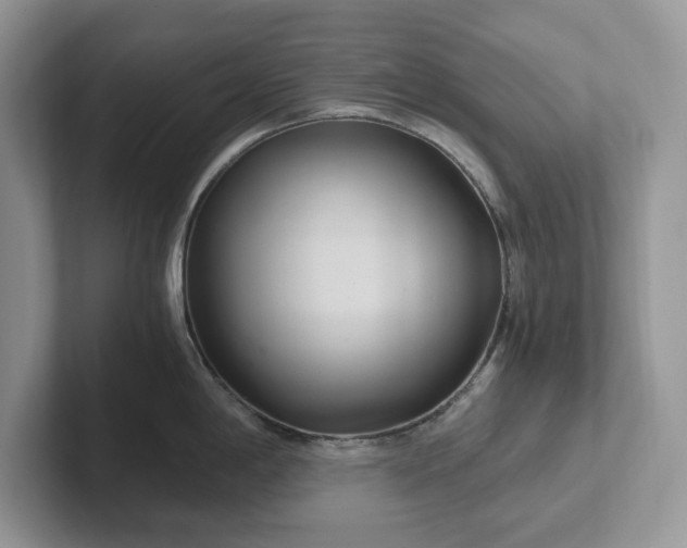 X0000101441198200807211205