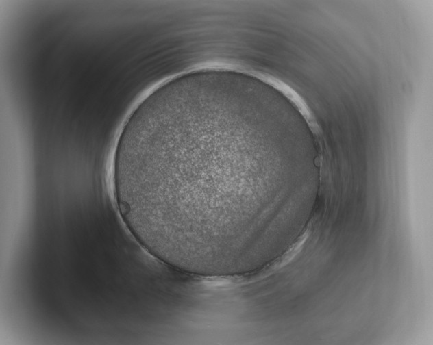 X0000101441199200807211205