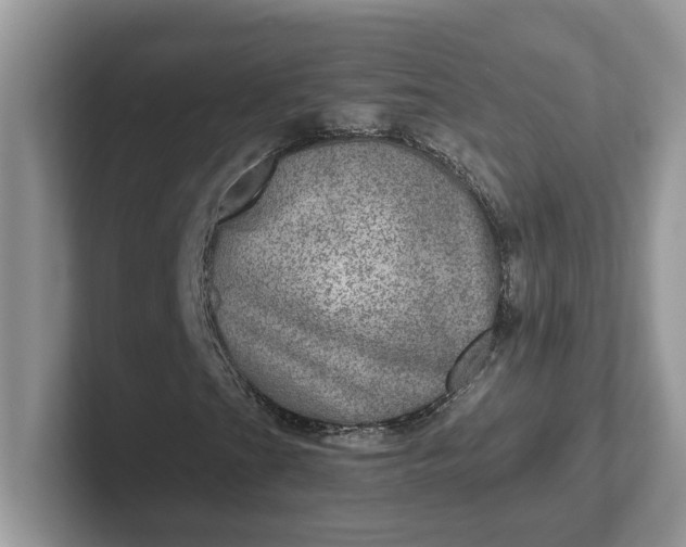 X0000101441201200807211204