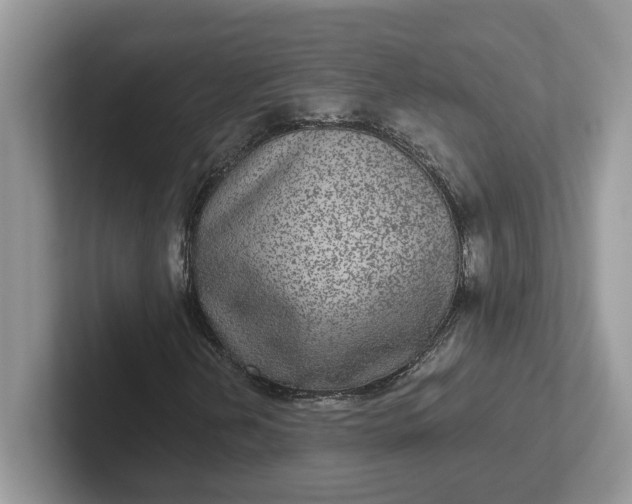 X0000101441202200807211204