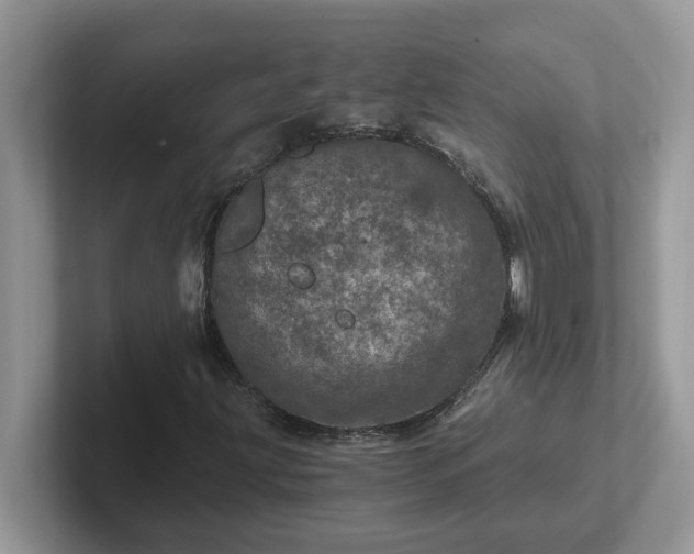 X0000101441203200807211204