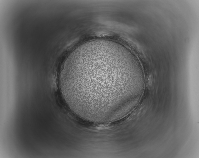 X0000101441205200807211204