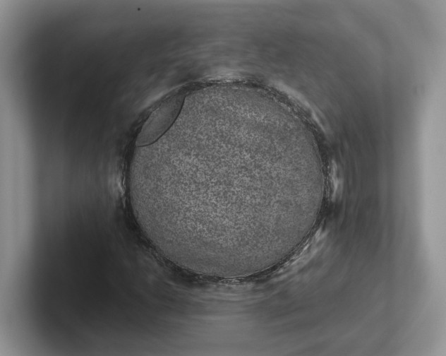 X0000101441206200807211204