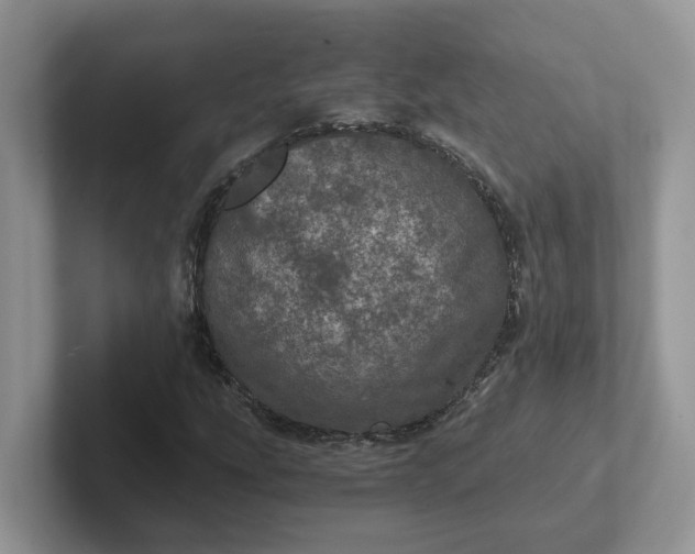 X0000101441207200807211204