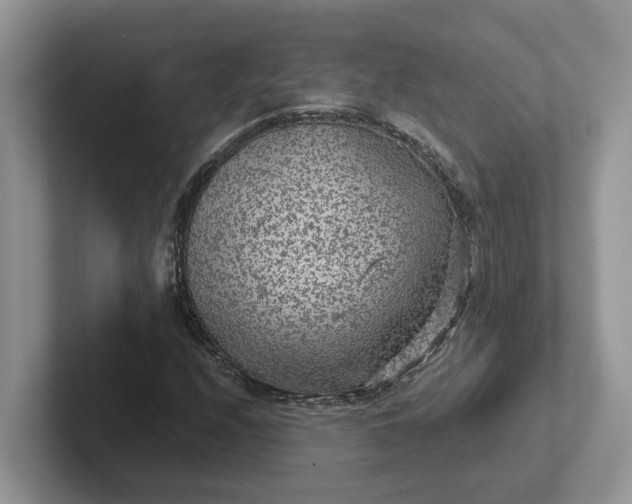 X0000101441208200807211204