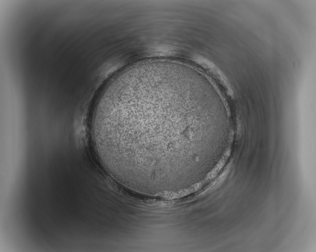 X0000101441210200807211204