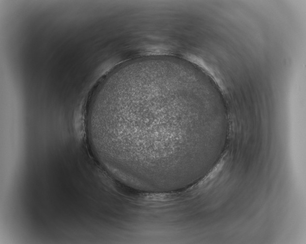 X0000101441211200807211204