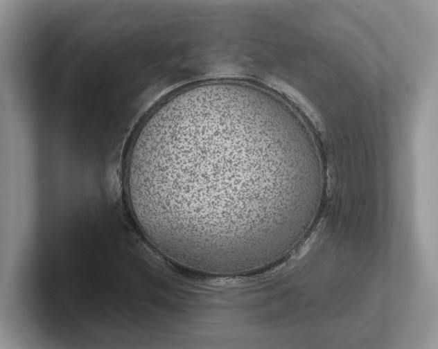 X0000101441212200807211204