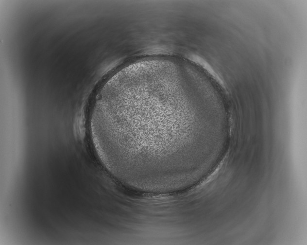 X0000101441213200807211204