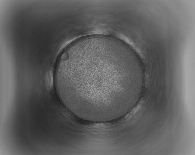 X0000101441214200807211204