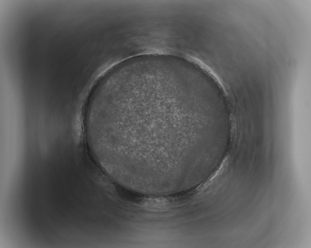 X0000101441215200807211204