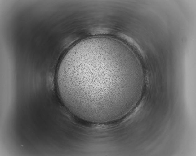 X0000101441217200807211204