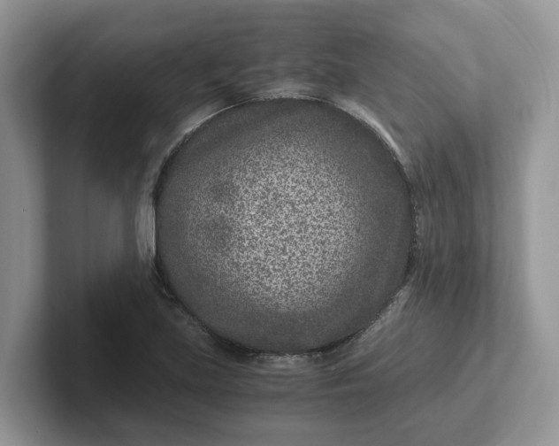 X0000101441219200807211204