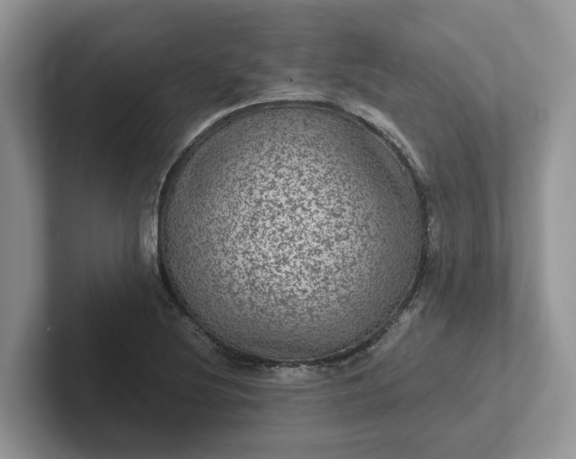 X0000101441220200807211204