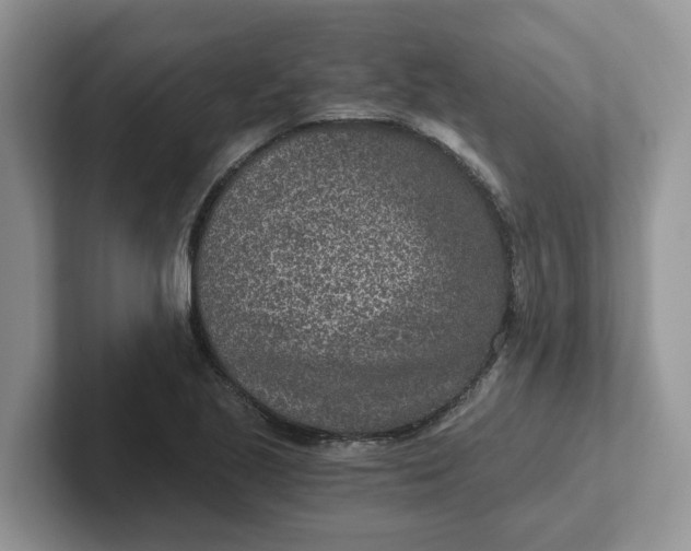 X0000101441221200807211205