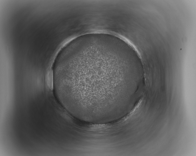 X0000101441223200807211205