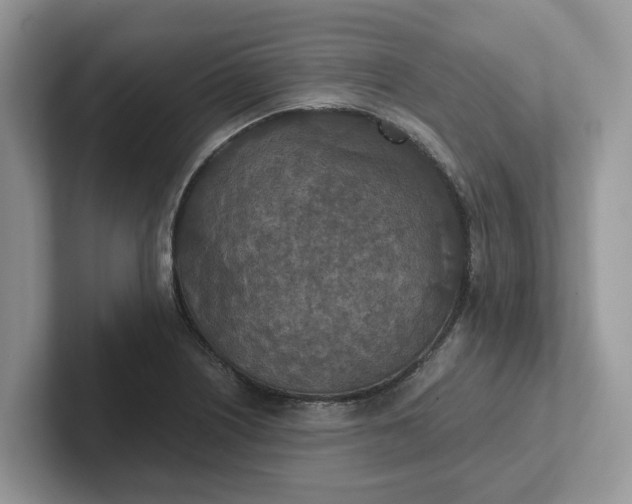 X0000101441226200807211205