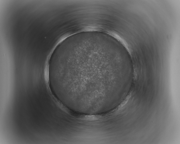 X0000101441227200807211205