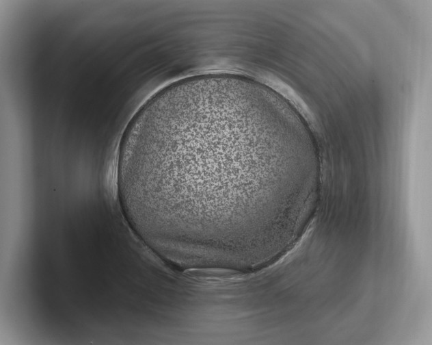 X0000101441228200807211205