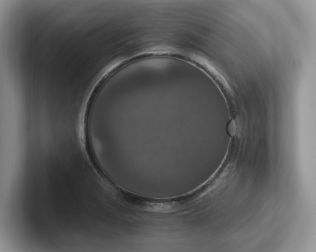 X0000101441229200807211205