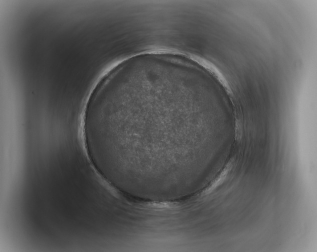 X0000101441231200807211205