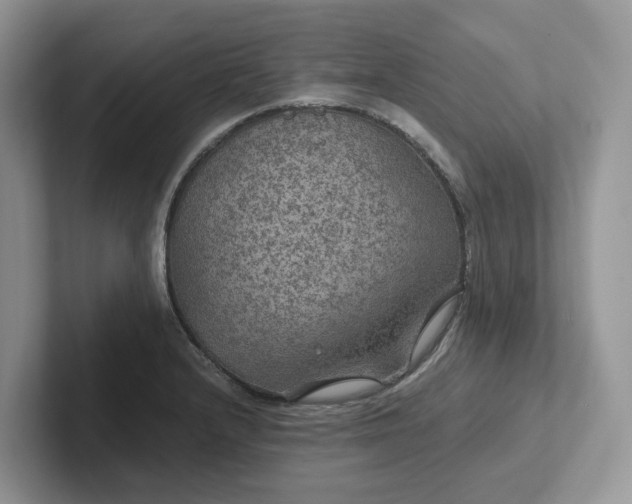 X0000101441232200807211205