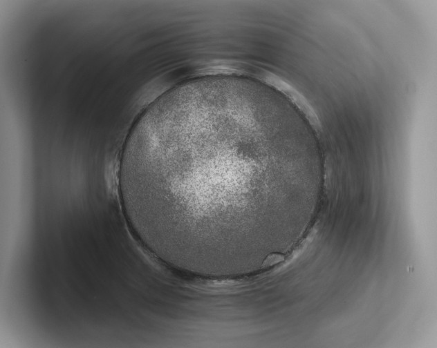 X0000101441233200807211205