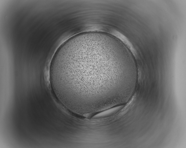 X0000101441234200807211205