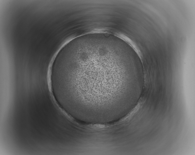 X0000101441235200807211205