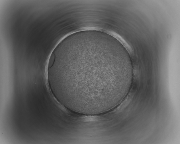 X0000101441236200807211205