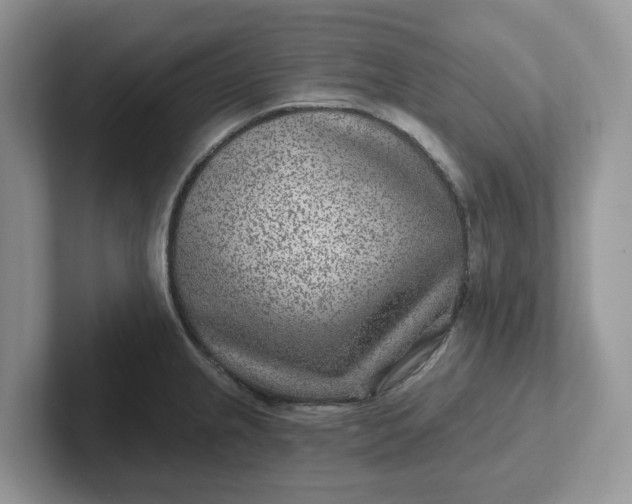 X0000101441237200807211205