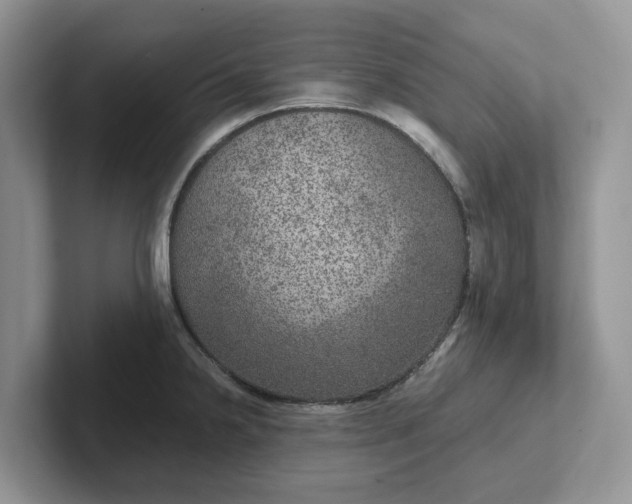 X0000101441238200807211205