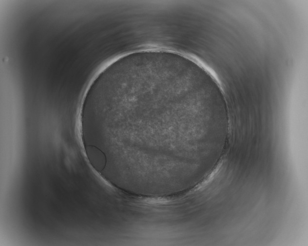 X0000101441239200807211205