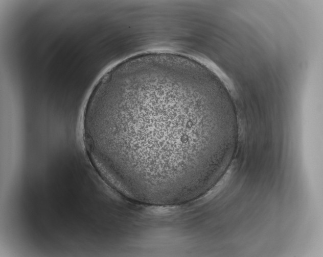 X0000101441240200807211205