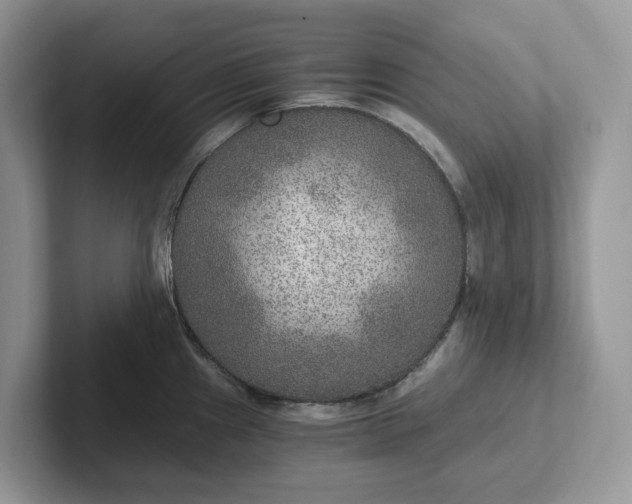 X0000101441241200807211205