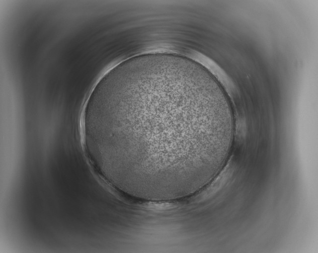 X0000101441242200807211205