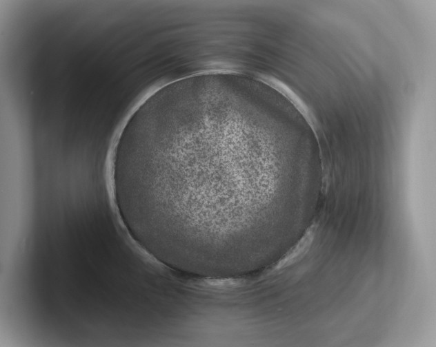 X0000101441243200807211205