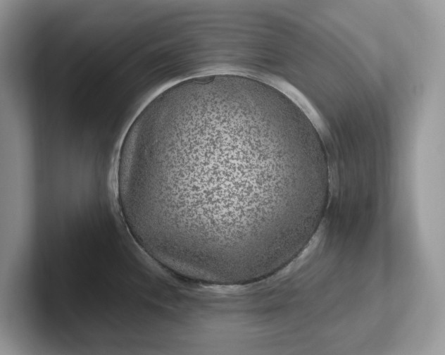 X0000101441244200807211205