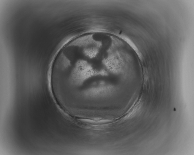 X0000101441245200807211205