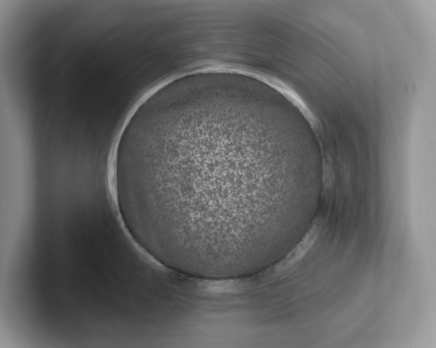 X0000101441247200807211205