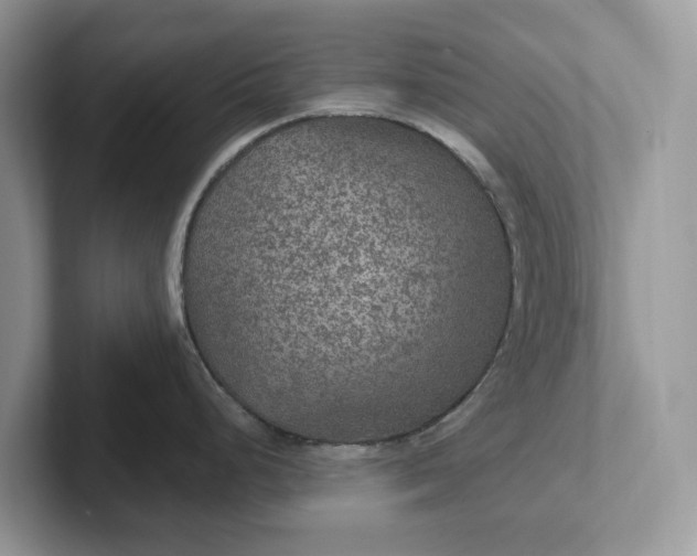 X0000101441248200807211205