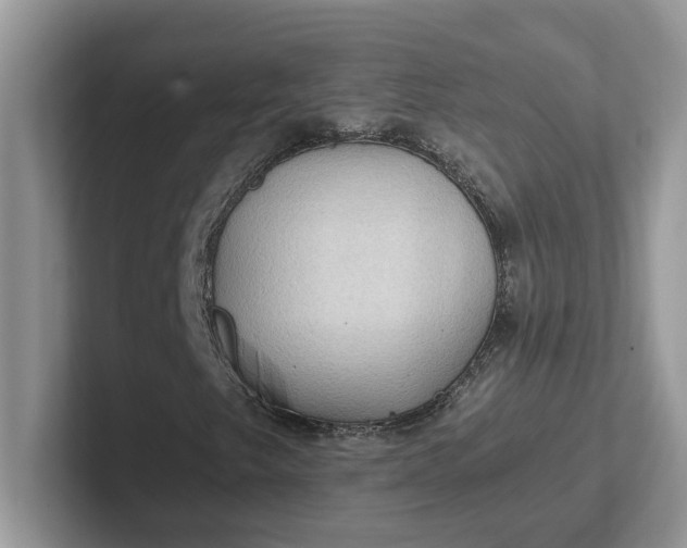 X0000101441249200807211204