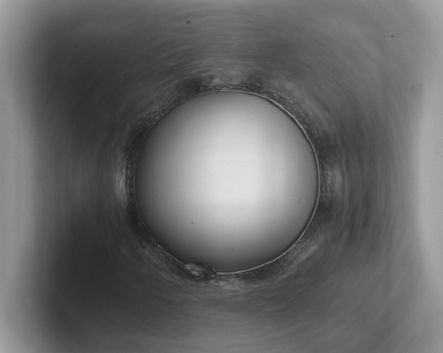 X0000101441250200807211204