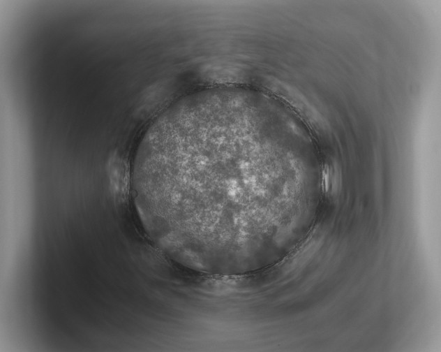 X0000101441251200807211204