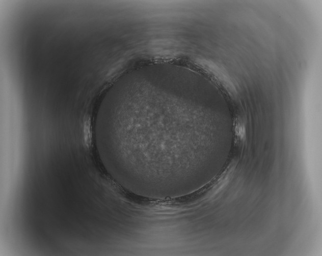 X0000101441252200807211204