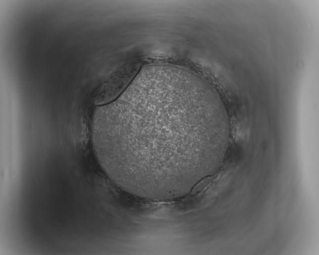 X0000101441253200807211204