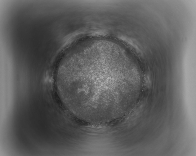 X0000101441254200807211204