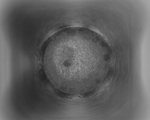 X0000101441255200807211204